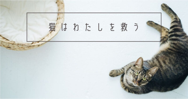 テンプレート「猫はわたしを救う」