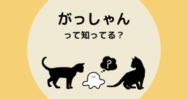 シナぷしゅのグッズまとめ ぬいぐるみや黒うさぎのグッズはあるの アカリノオト